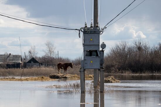 Flood in the Omsk Region