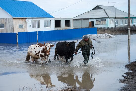 Flood in the Omsk Region