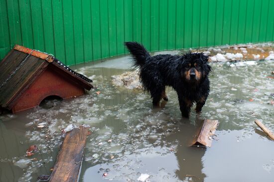 Flood in the Omsk Region