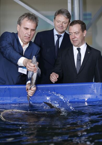 Prime Minister Medvedev visits Volga Federal District