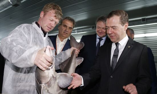 Prime Minister Medvedev visits Volga Federal District