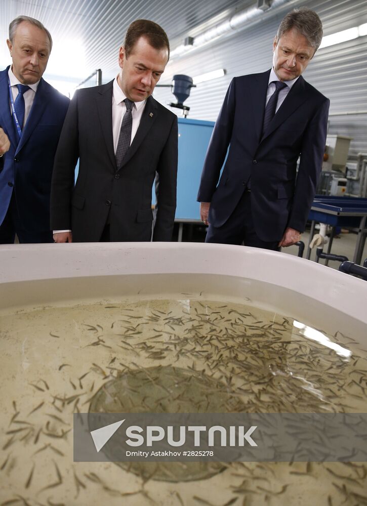 Prime Minister Medvedev visits Volga Federal District