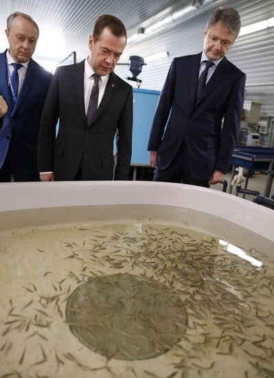 Prime Minister Medvedev visits Volga Federal District