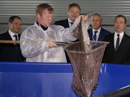 Prime Minister Medvedev visits Volga Federal District