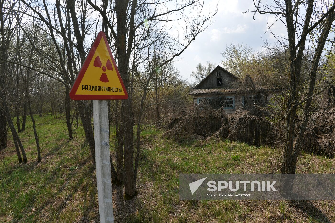 Belorussian part of Chernobyl NPP exclusion zone