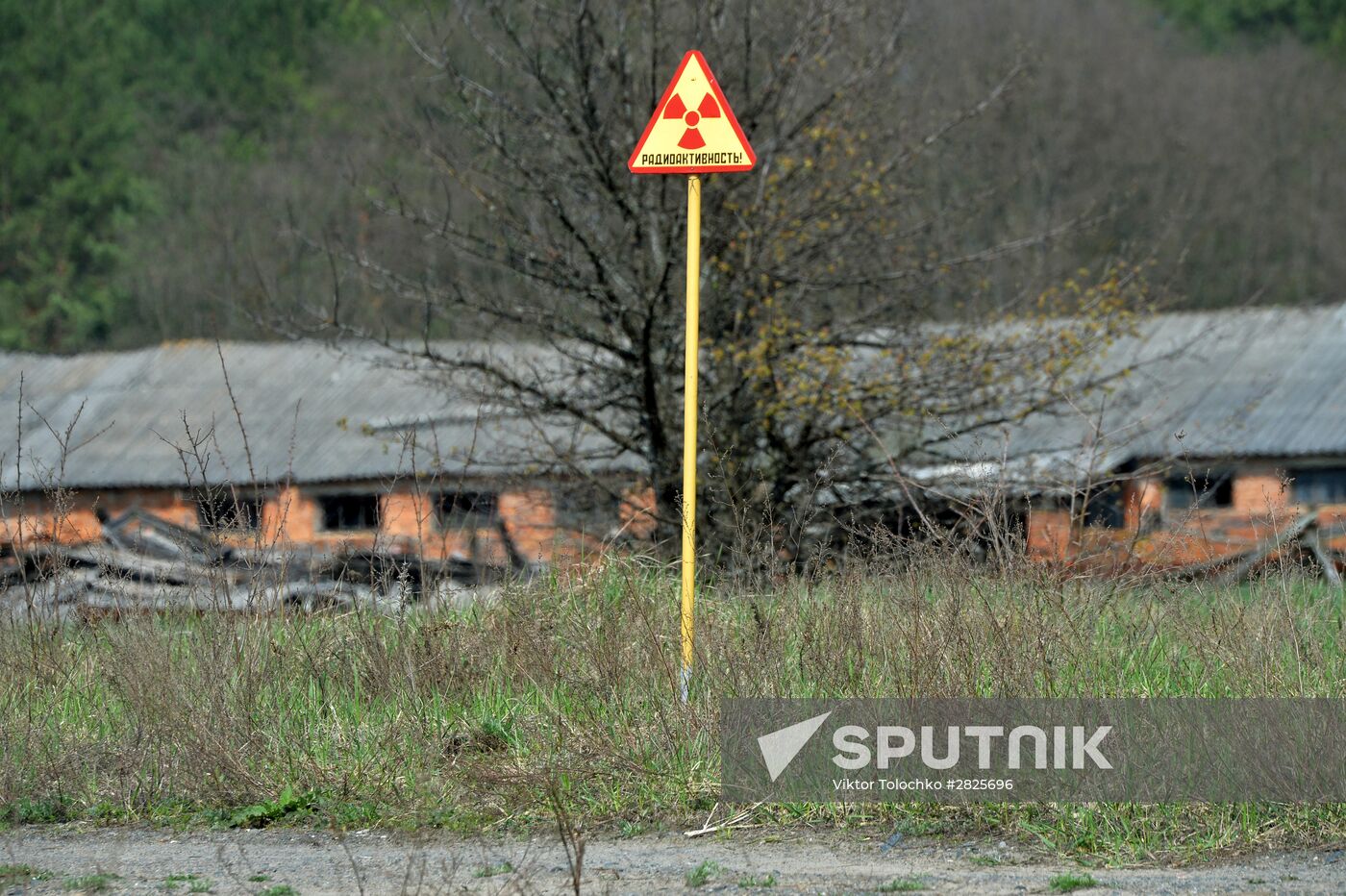 Belarusian sector of Chernobyl exclusion area