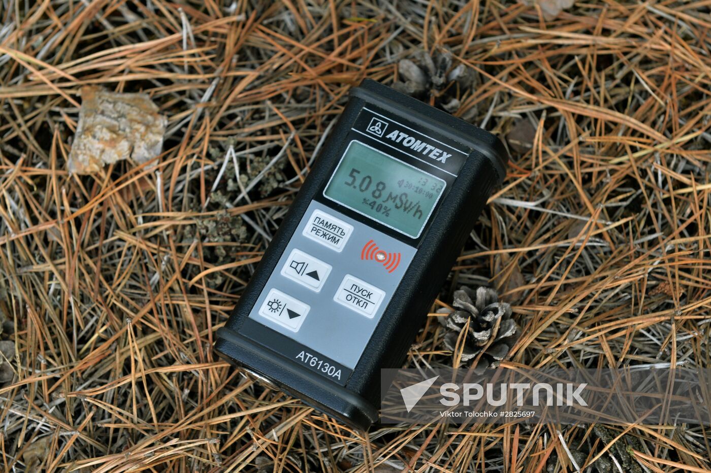 Belorussian part of Chernobyl NPP exclusion zone