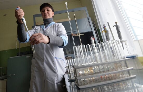 Belarusian sector of Chernobyl exclusion area