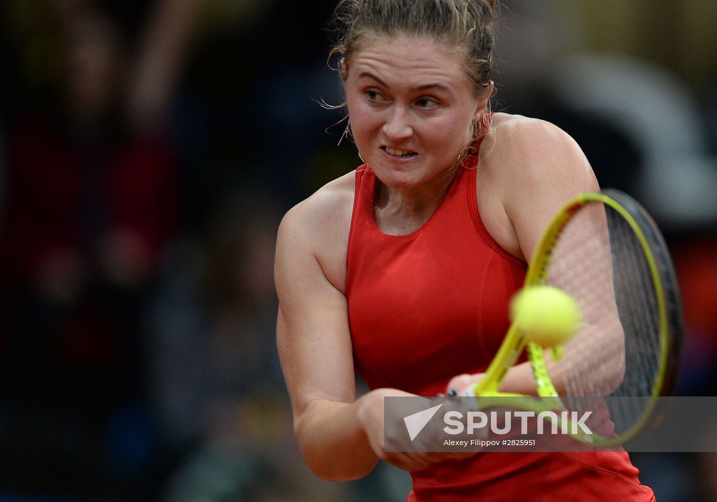 Tennis. Fed Cup. Russia vs. Belarus. Day One