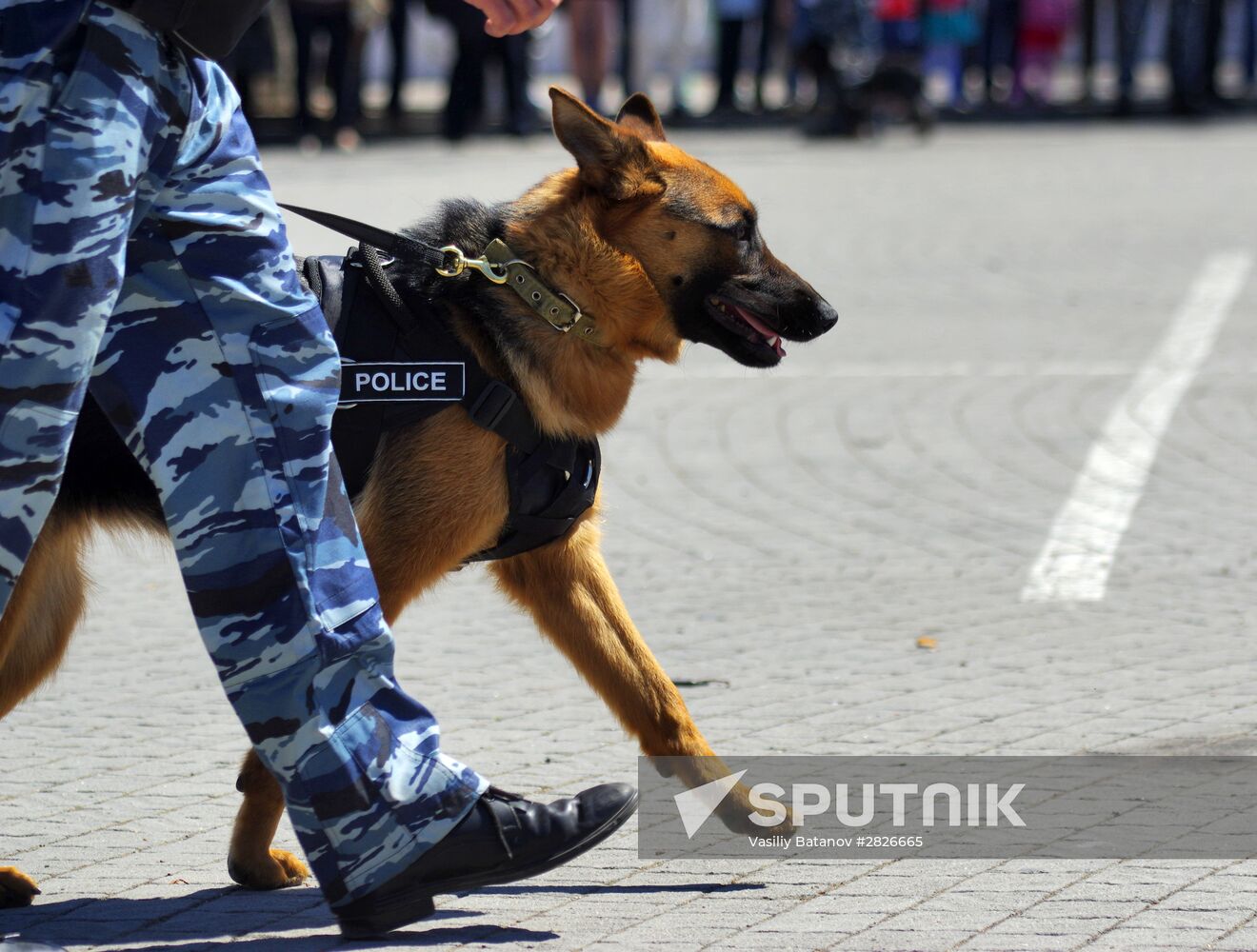 Exhibition performance by Interior Ministry's employees in Sevastopol