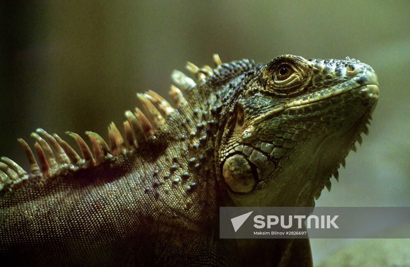 Moscow Zoo terrarium