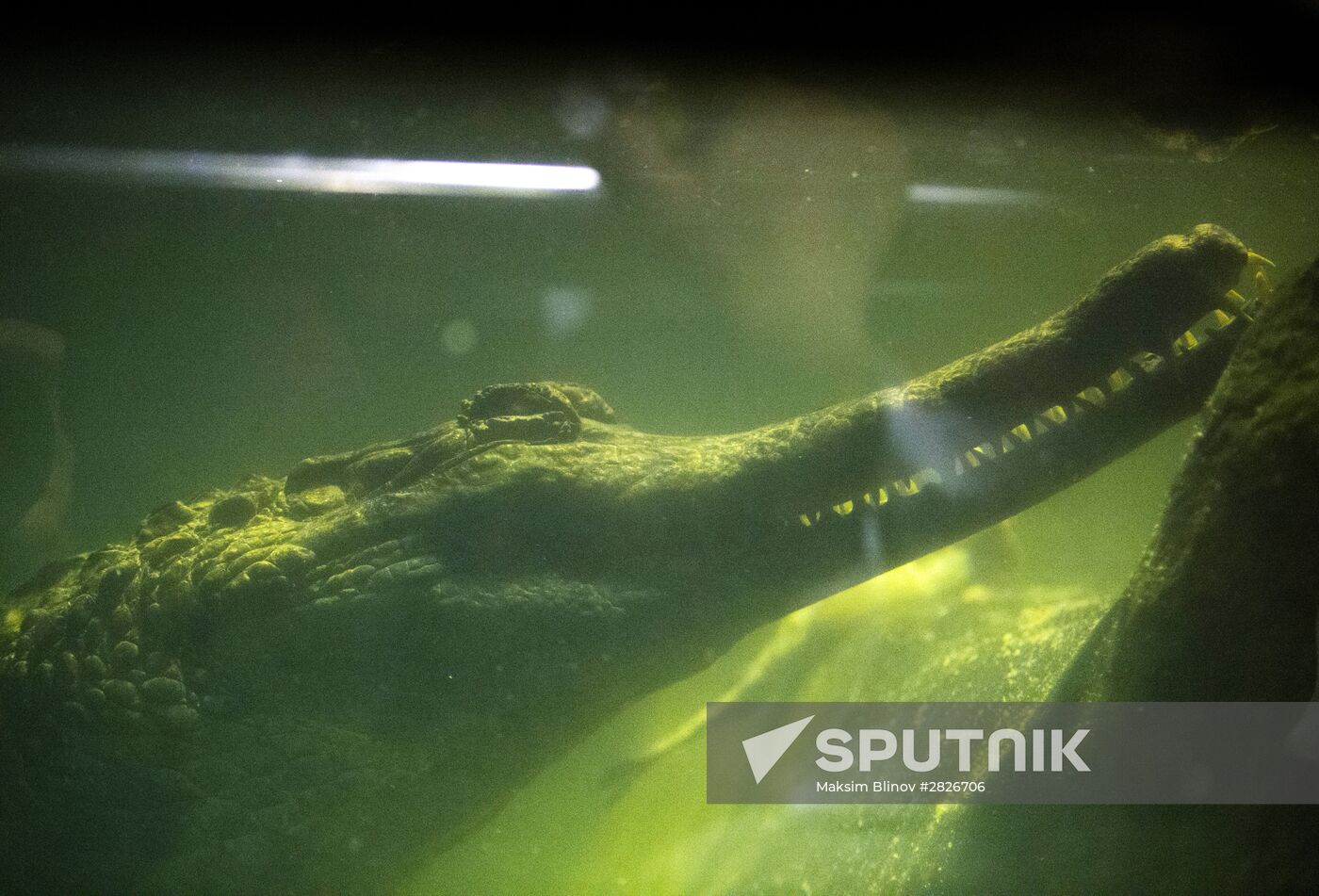 Moscow Zoo terrarium