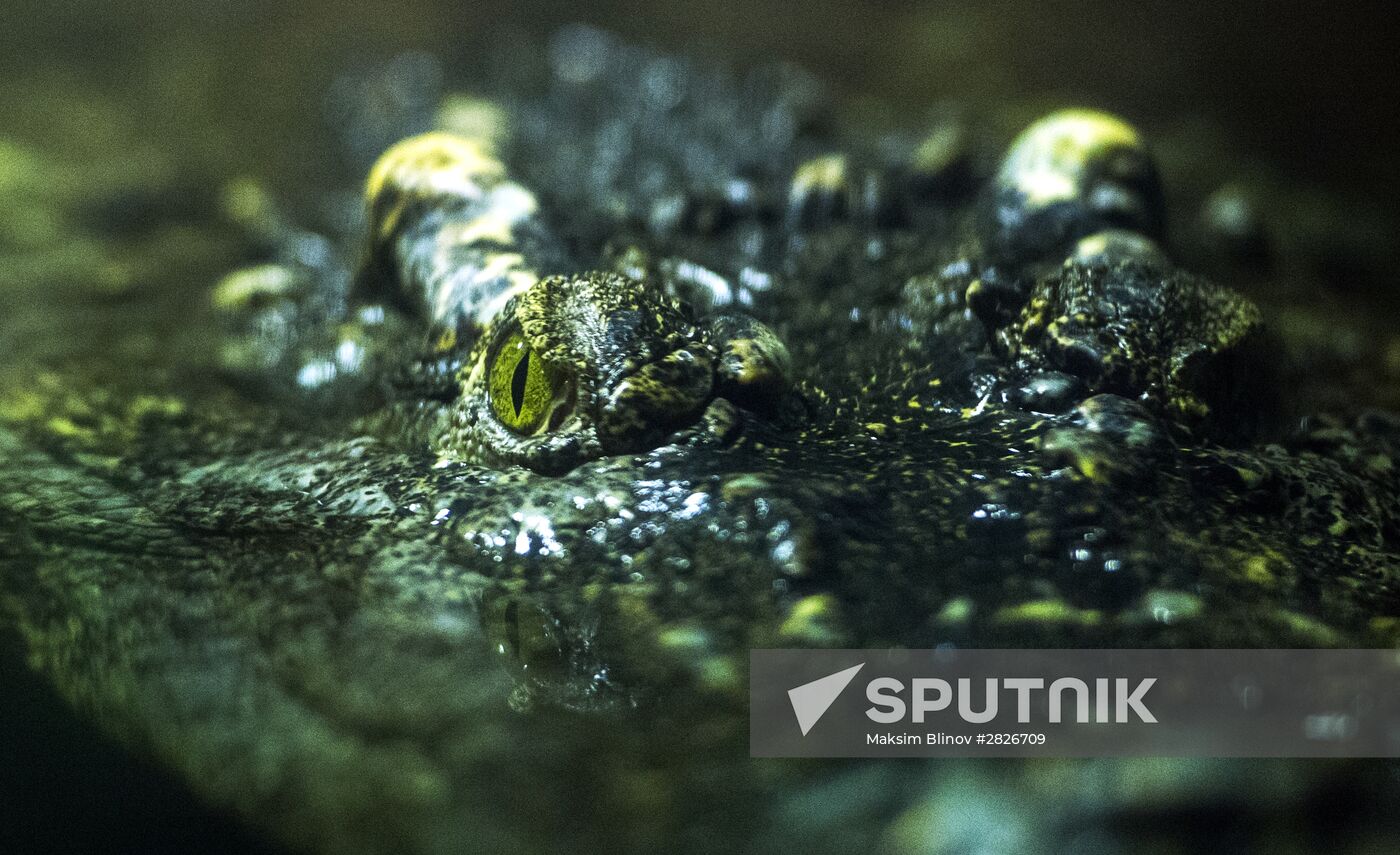 Moscow Zoo terrarium