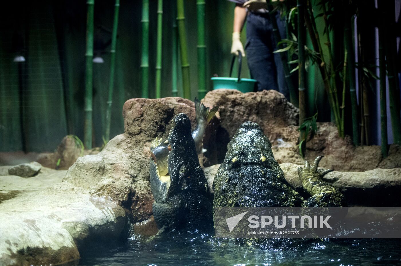 Moscow Zoo terrarium