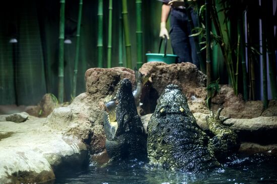 Moscow Zoo terrarium