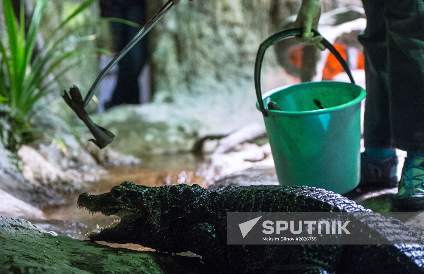Moscow Zoo terrarium