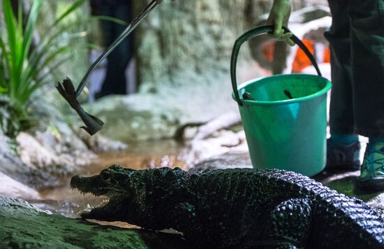 Moscow Zoo terrarium