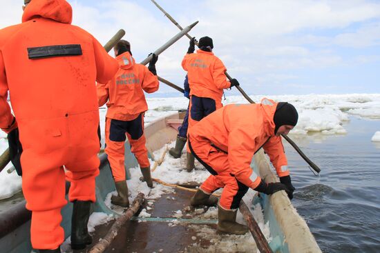 Saving killer whales trapped by ice floes in the Okhotsk Sea
