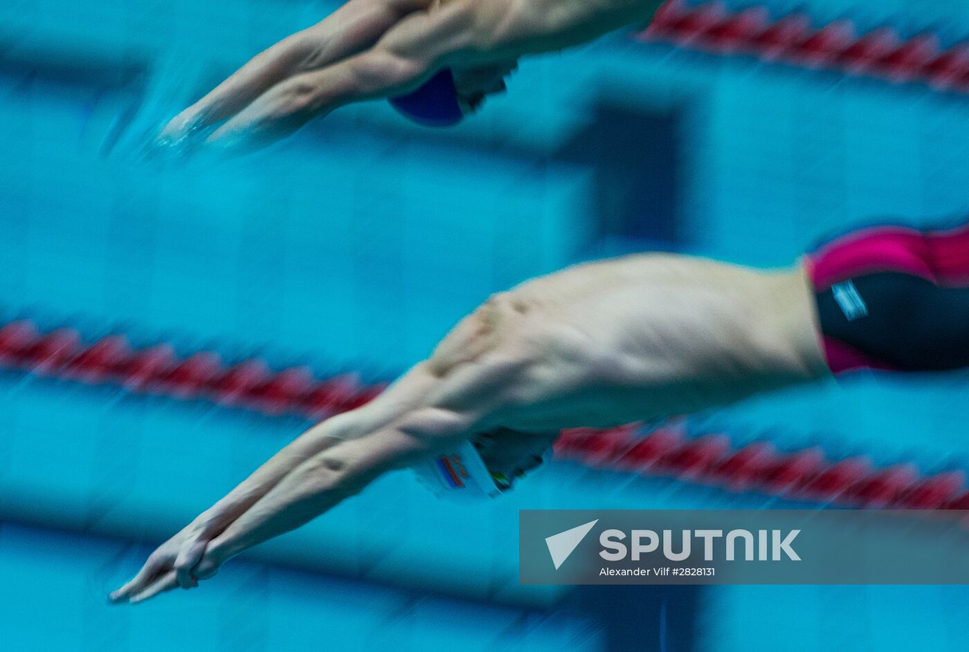 Russian Swimming Championships. Day Four