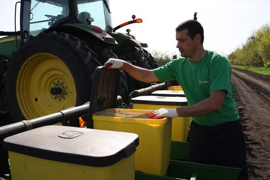 Spring sowing campaign in Krasnodar Territory