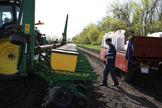 Spring sowing campaign in Krasnodar Territory