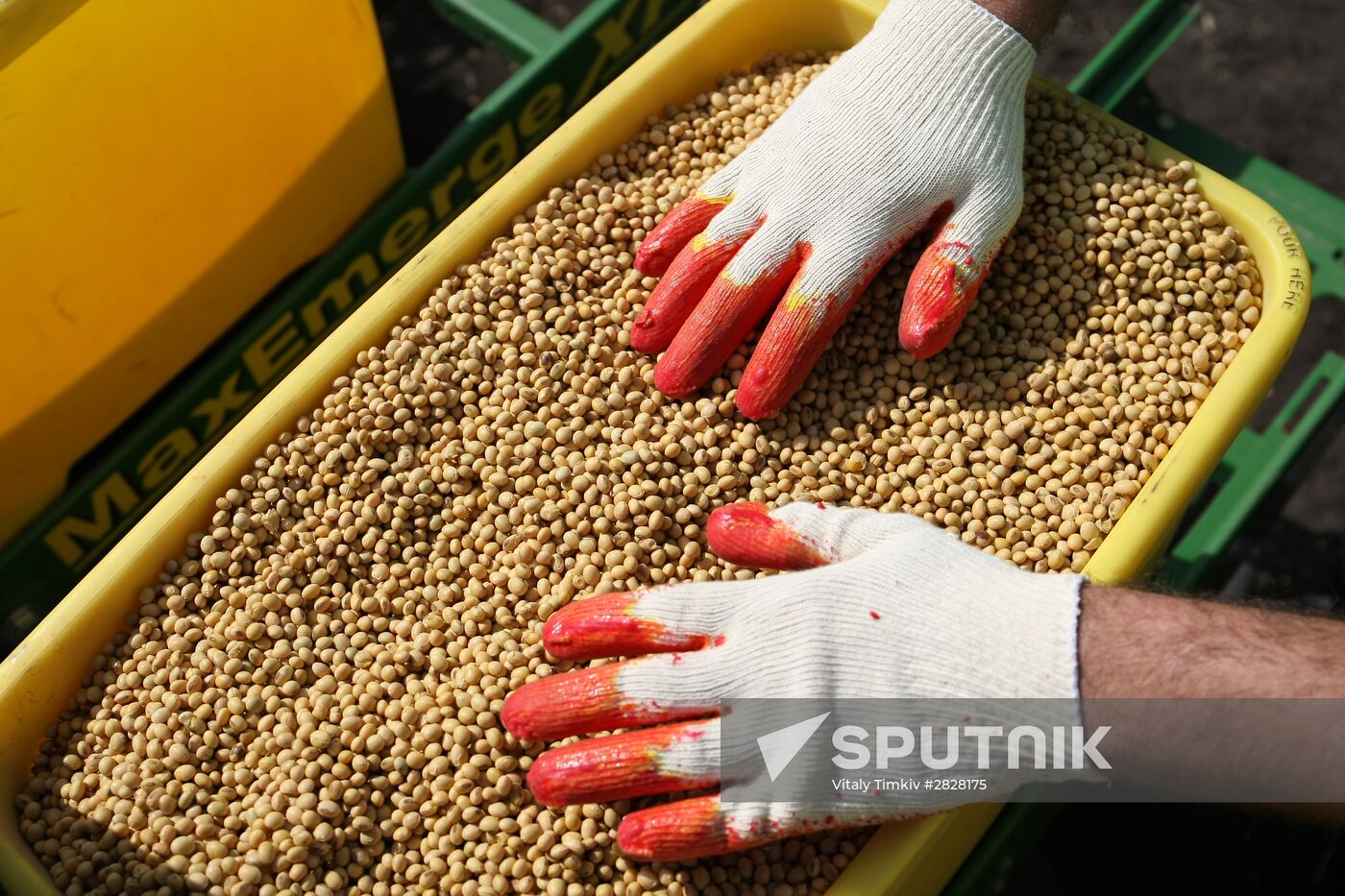 Spring sowing campaign in Krasnodar Territory