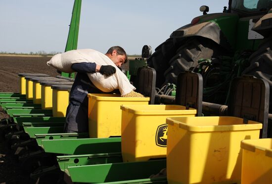 Spring sowing campaign in Krasnodar Territory