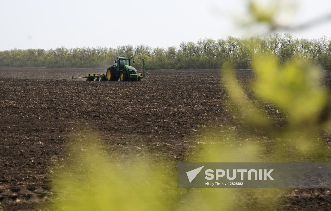 Spring sowing campaign in Krasnodar Territory