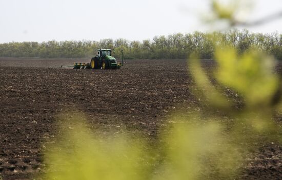Spring sowing campaign in Krasnodar Territory