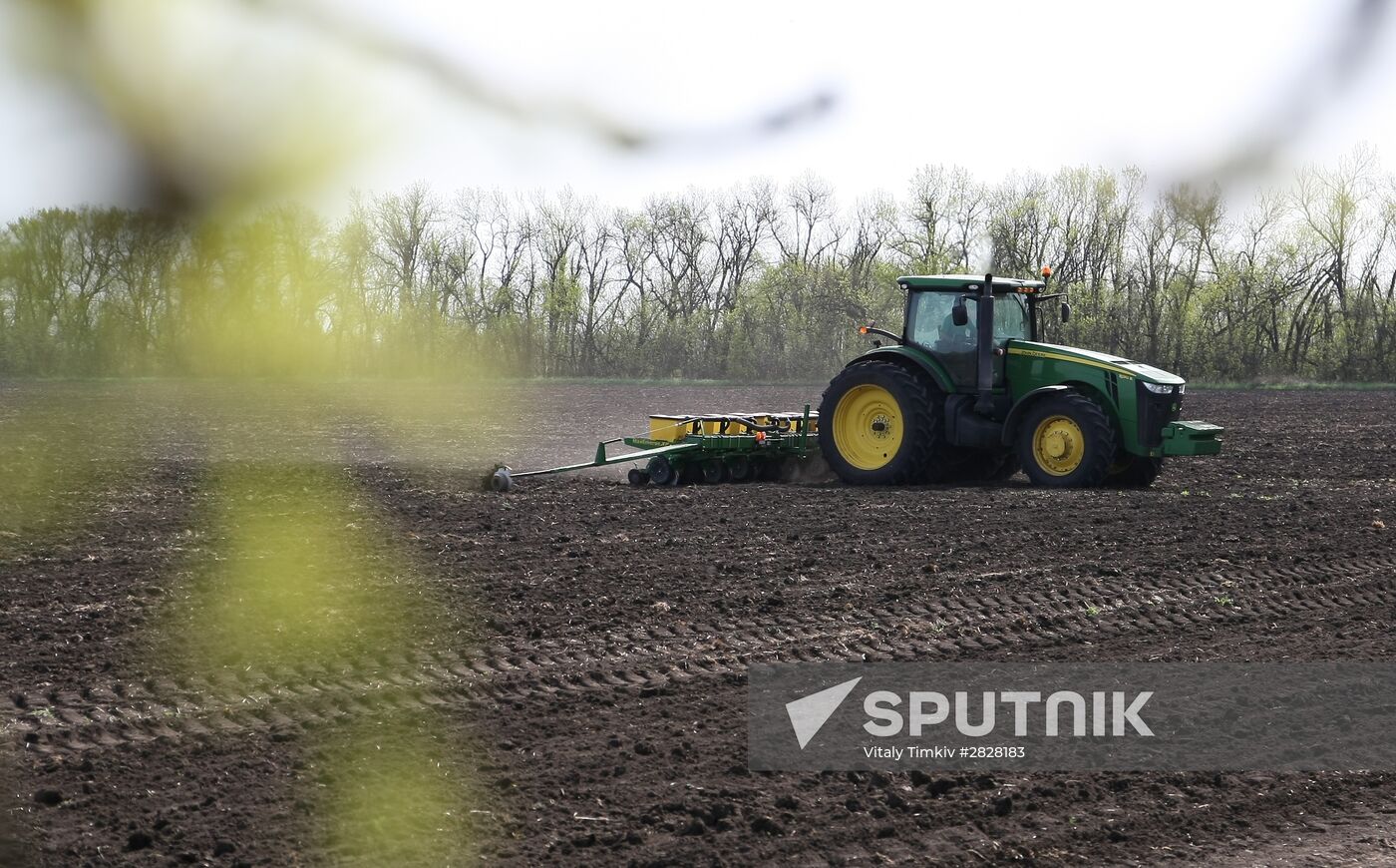 Spring sowing campaign in Krasnodar Territory