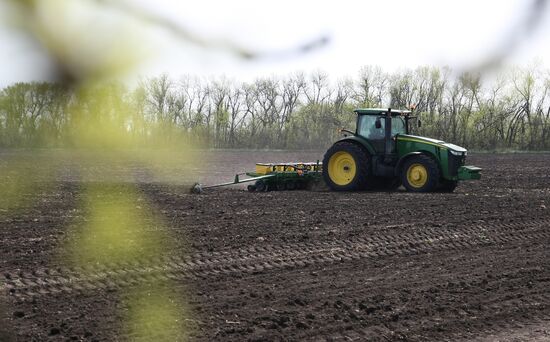 Spring sowing campaign in Krasnodar Territory