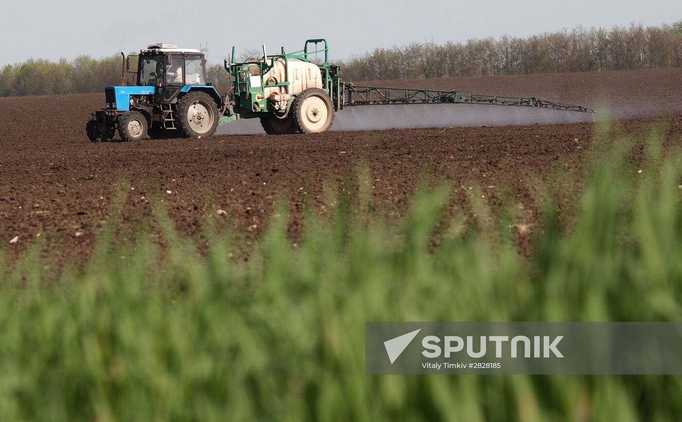 Spring sowing campaign in Krasnodar Territory