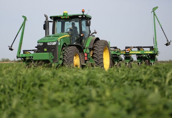 Spring sowing campaign in Krasnodar Territory