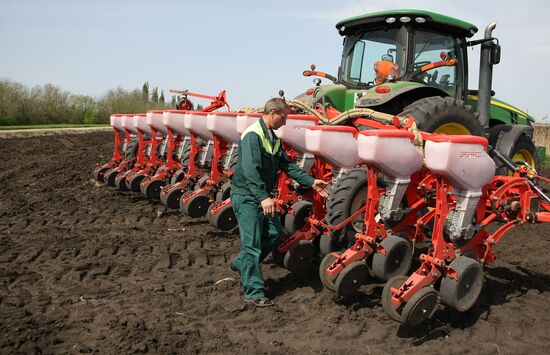 Spring sowing campaign in Krasnodar Territory