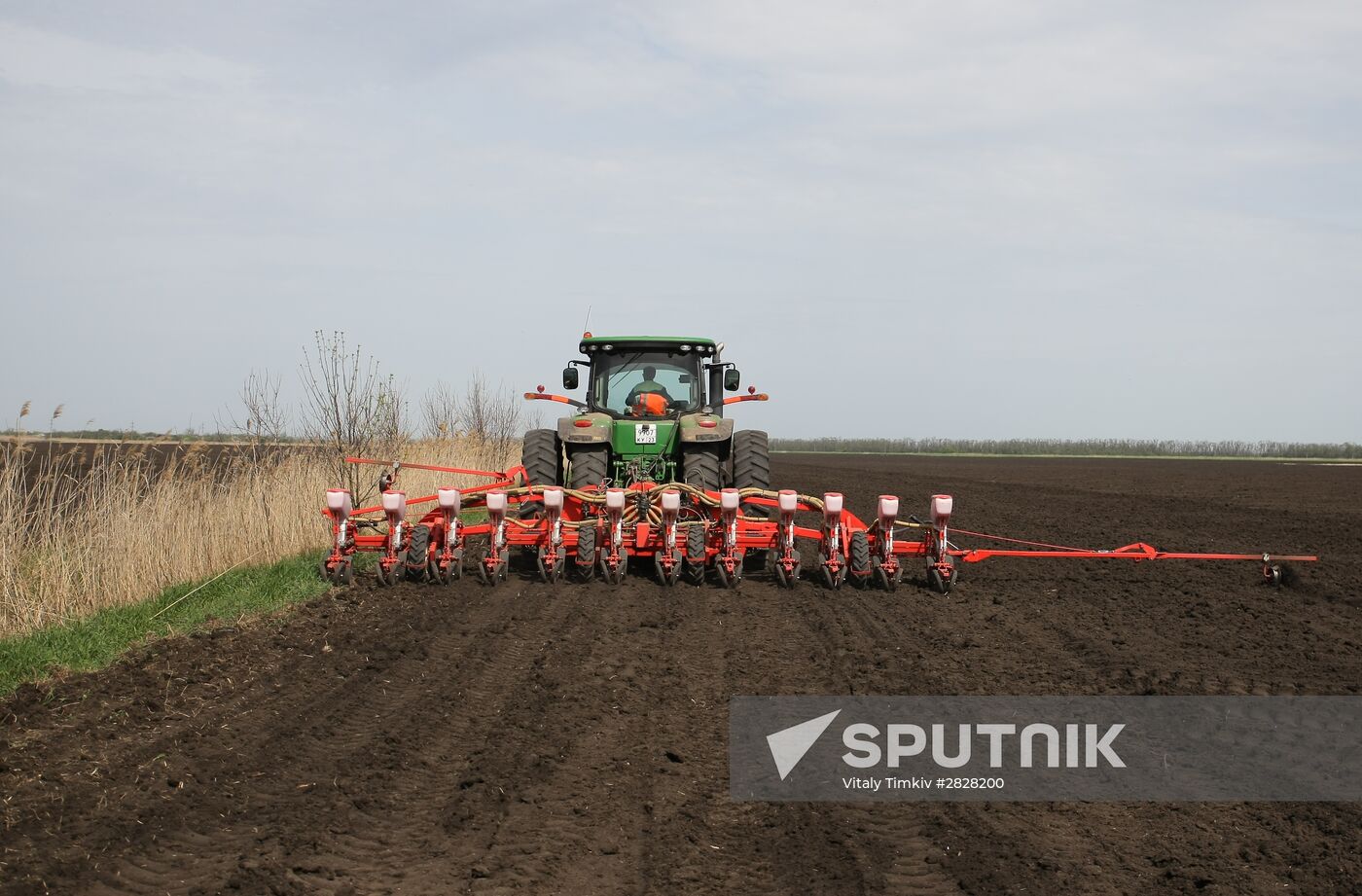 Spring sowing campaign in Krasnodar Territory