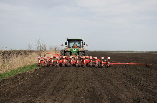 Spring sowing campaign in Krasnodar Territory