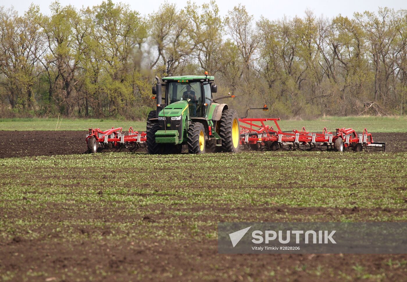 Spring sowing campaign in Krasnodar Territory