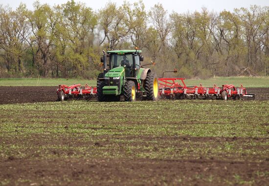 Spring sowing campaign in Krasnodar Territory
