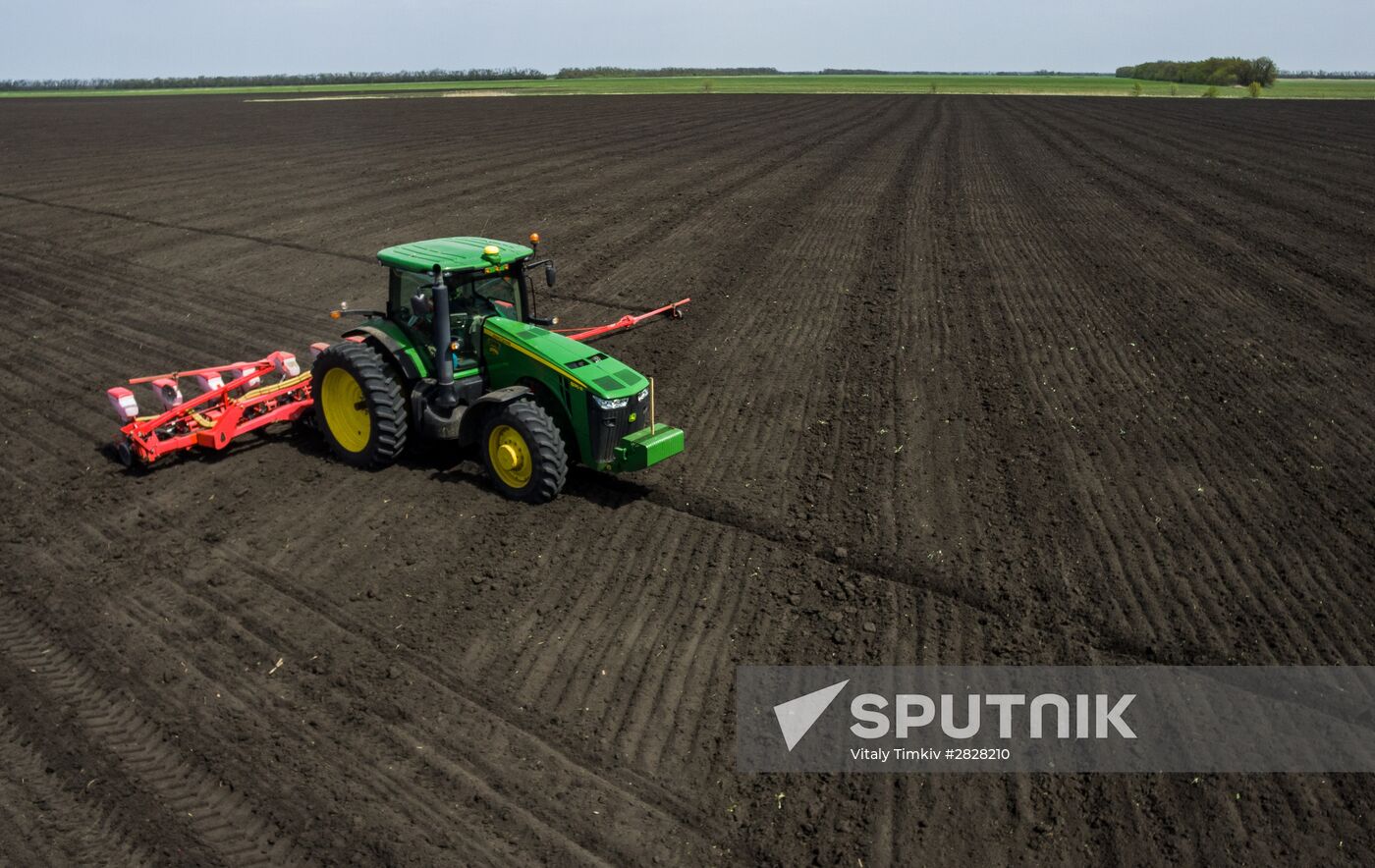 Spring sowing campaign in Krasnodar Territory