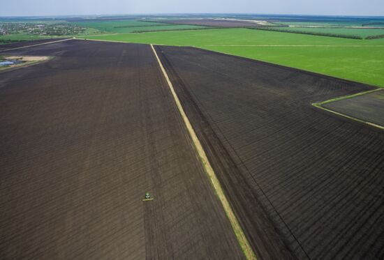 Spring sowing campaign in Krasnodar Territory