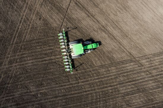 Spring sowing campaign in Krasnodar Territory