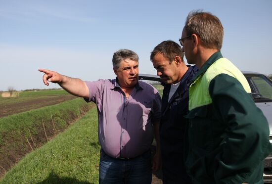 Spring sowing campaign in Krasnodar Territory