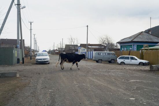Russian regions. The Irkutsk Region