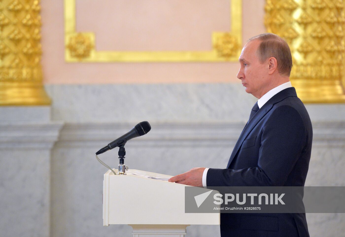 President Vladimir Putin receives letters of credence from foreign ambassadors