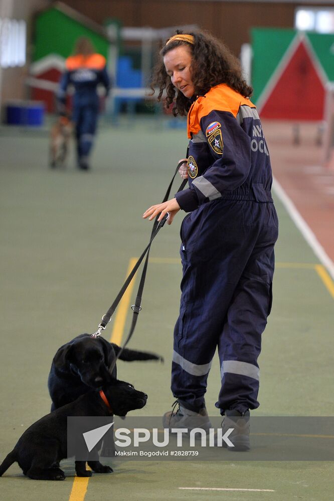 EMERCOM drill in Kazan