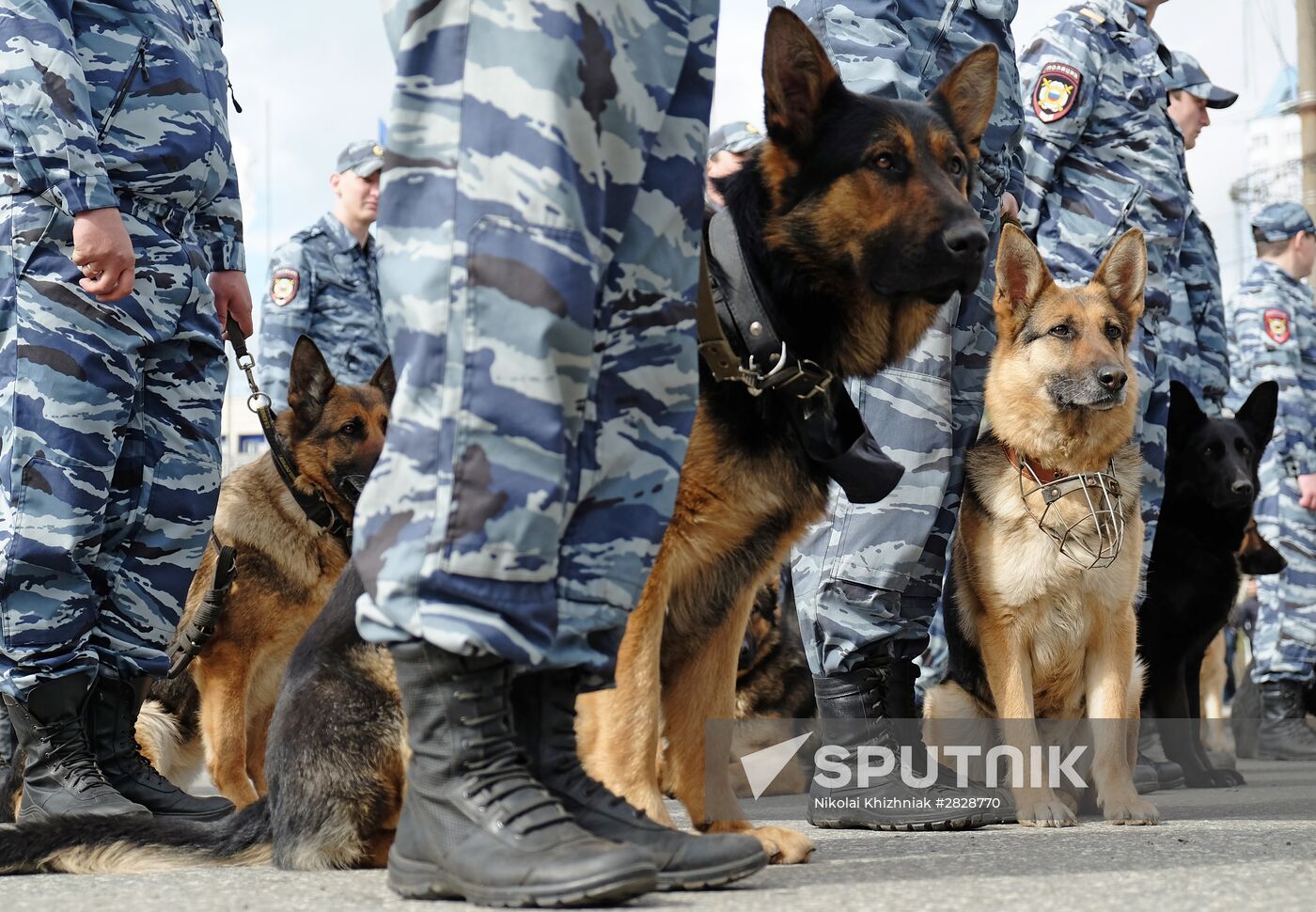 Police ceremonial review in Samara