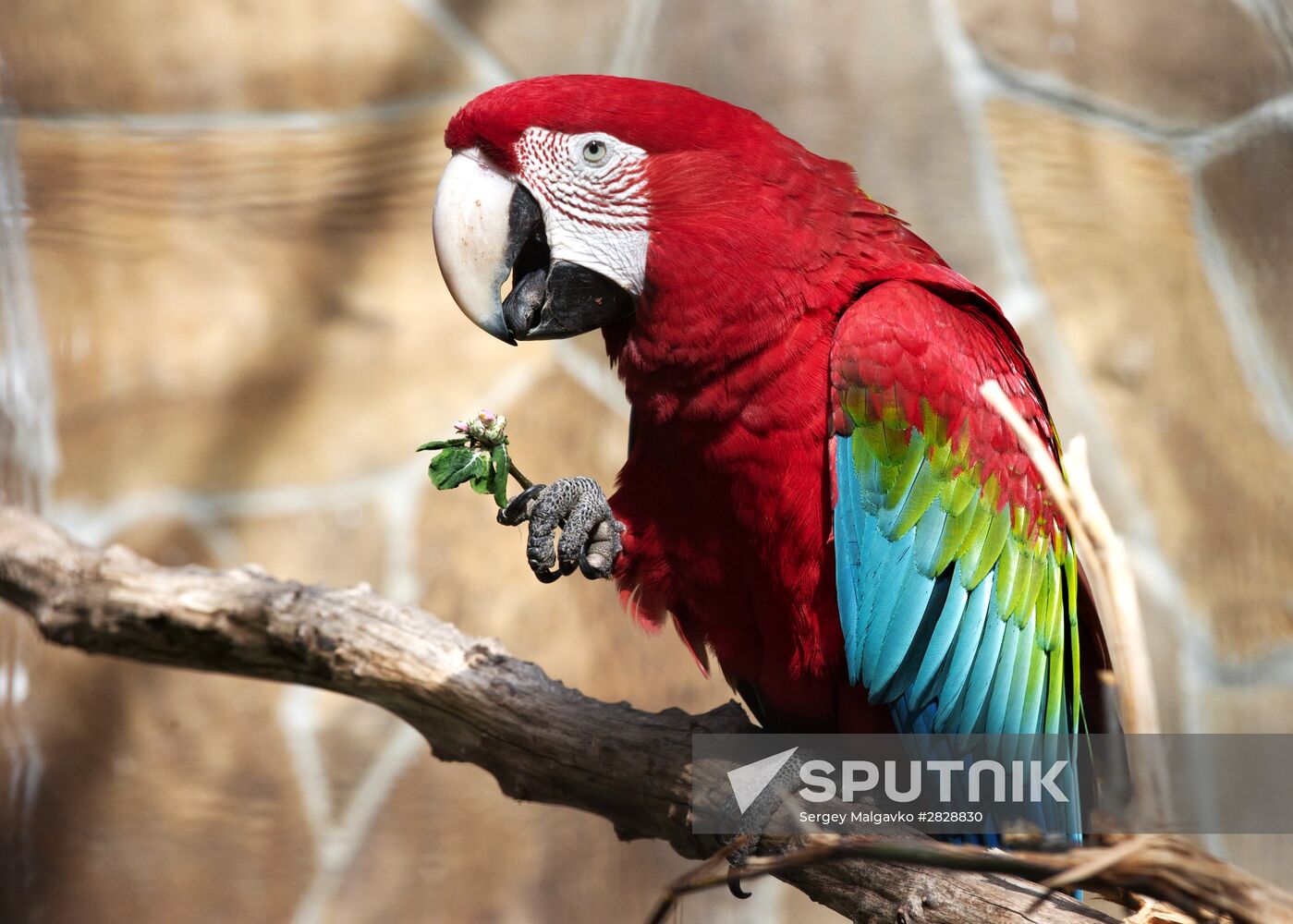 Zoo "Fairytale" opens in Crimea