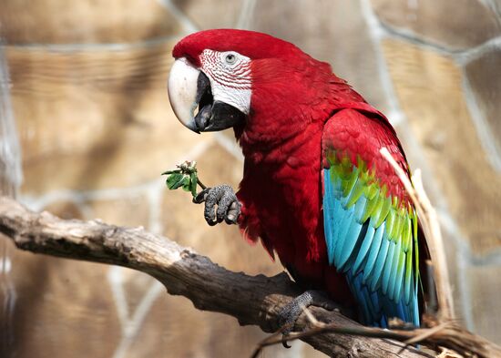 Zoo "Fairytale" opens in Crimea