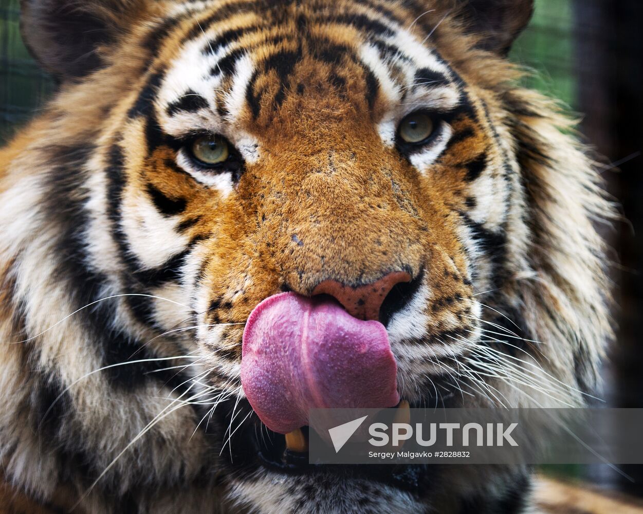Zoo "Fairytale" opens in Crimea