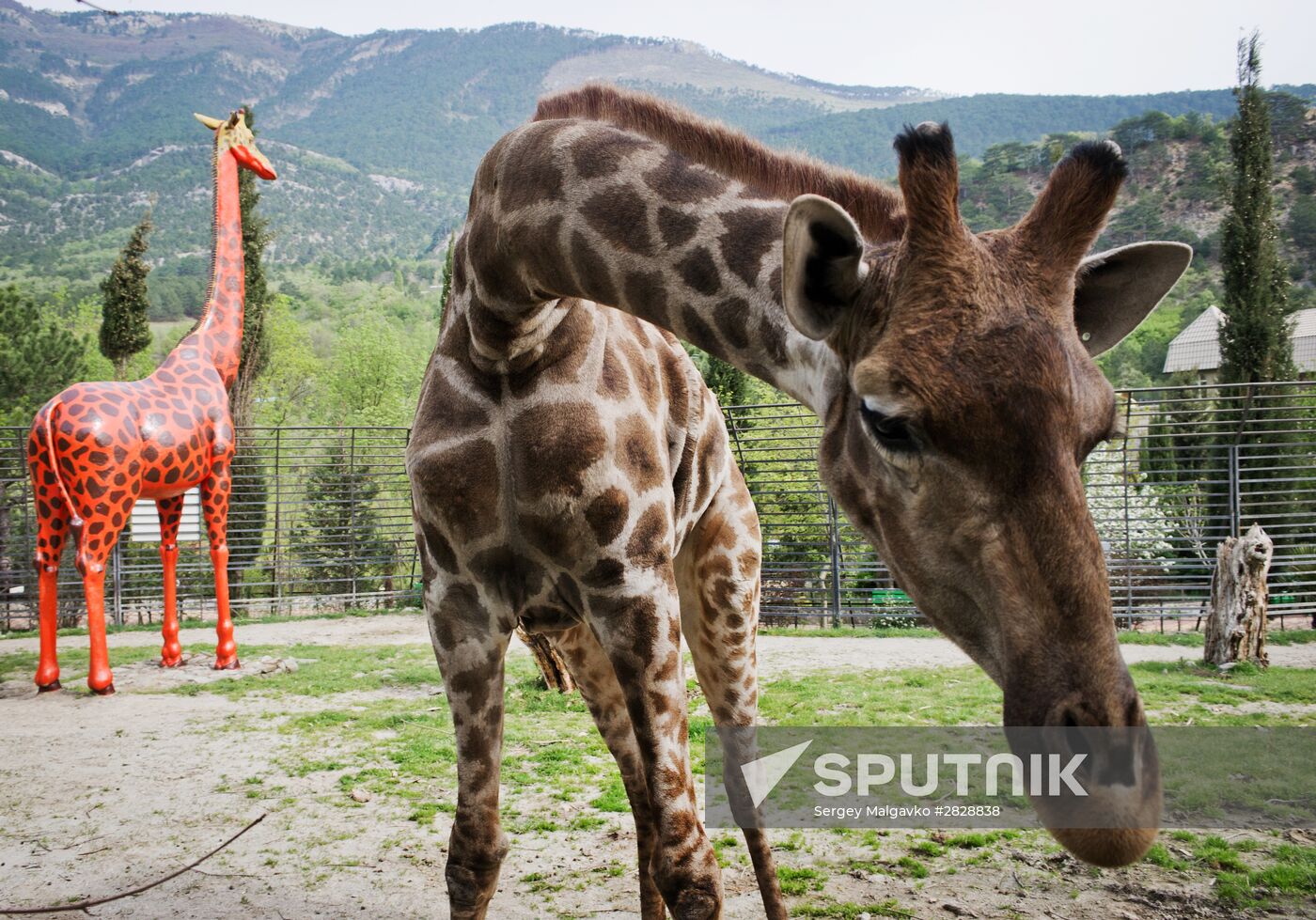 Zoo "Fairytale" opens in Crimea